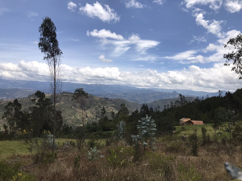 Andes mountain and Ayahuasca 