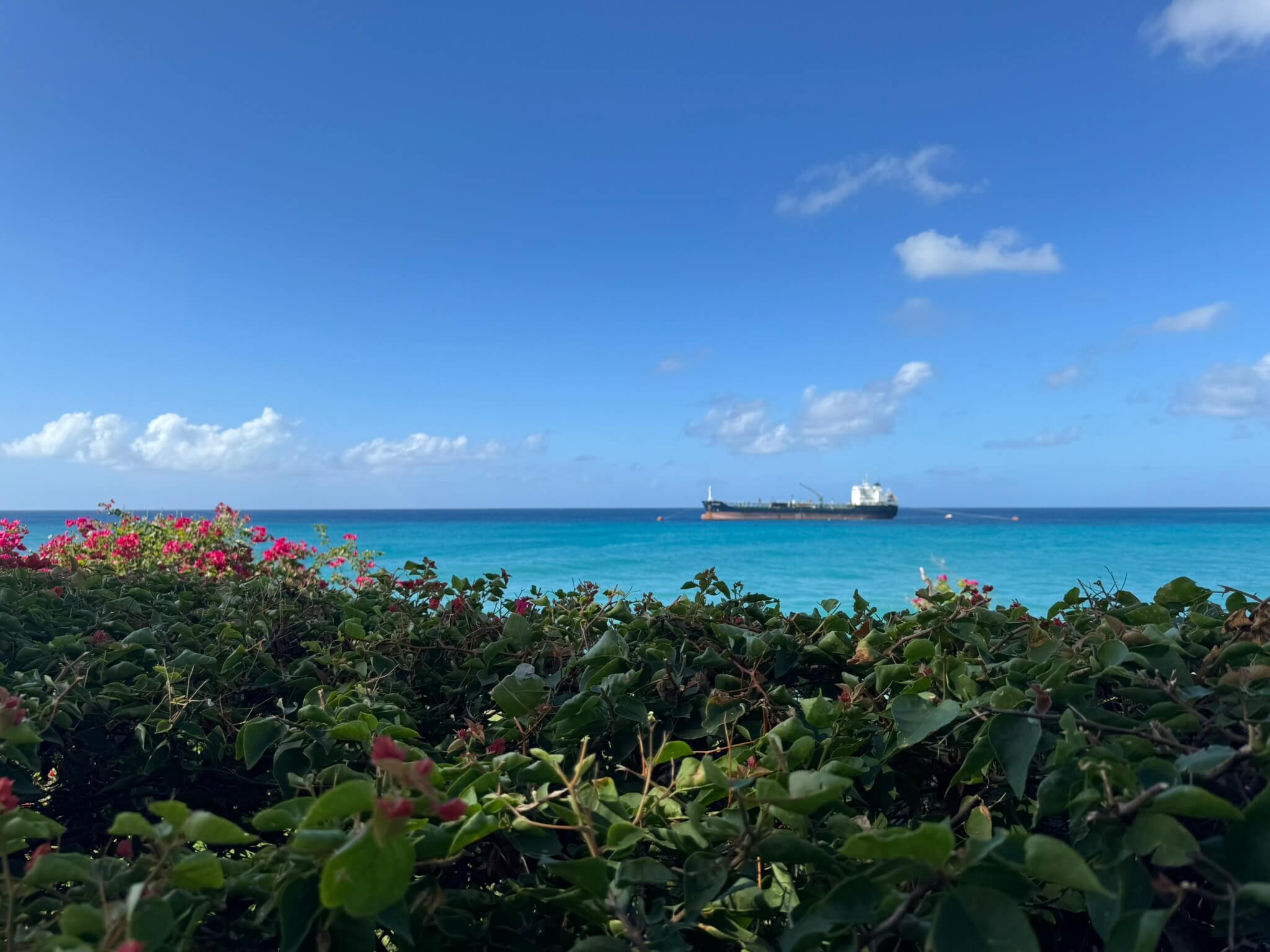 2C795E04-B8D9-4E02-AE00-B29789FC4837_1_102_o